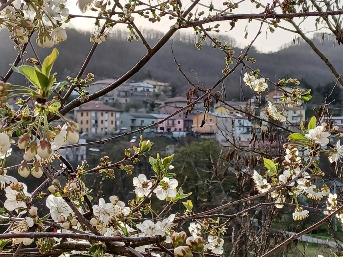 Casa Vacanze "Ellen" Bianchi Exterior foto